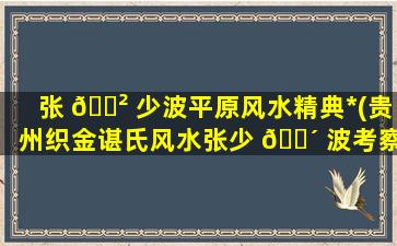张 🌲 少波平原风水精典*
(贵州织金谌氏风水张少 🌴 波考察)